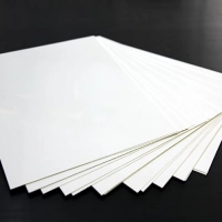 Белый сплошной листовой ПВХ 0.7x1000x1400 мм PENTAPRINT ТУ